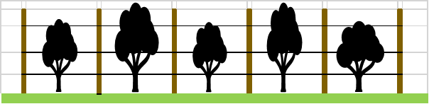 Implantation arbres